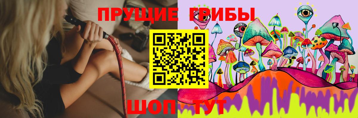 Галлюциногенные грибы GOLDEN TEACHER  купить закладку  Галлюциногенные грибы MAGIC MUSHROOMS  Лесозаводск  Вход с VPN 